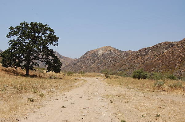 DSC 0203