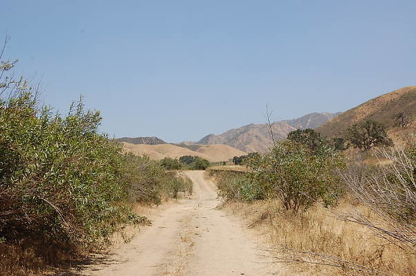 DSC 0169