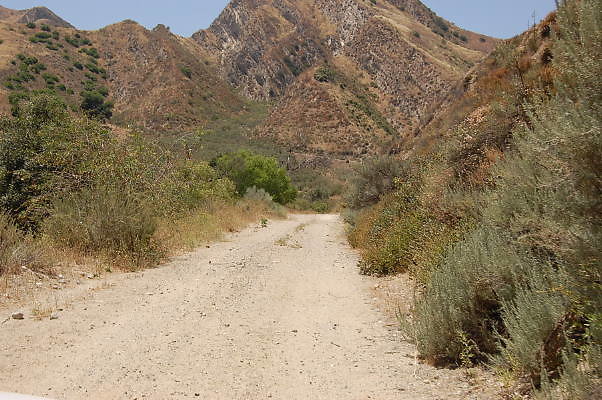 DSC 0232