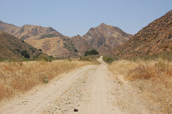 DSC 0220