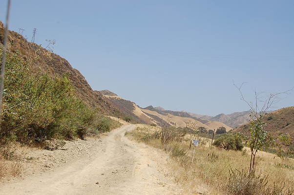 DSC 0158