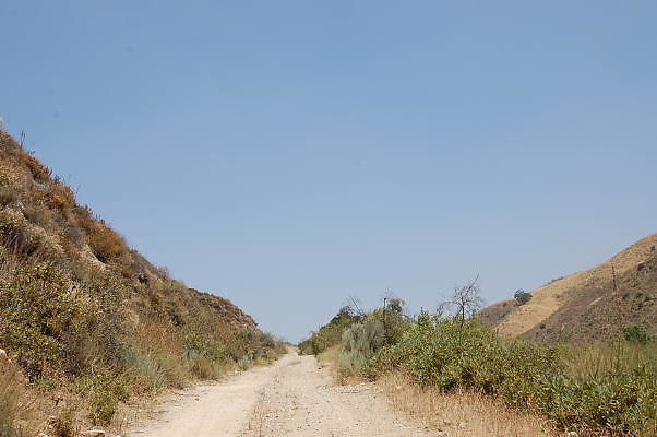 DSC 0147