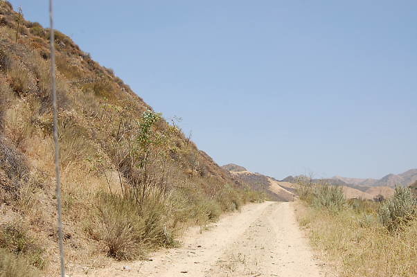 DSC 0154