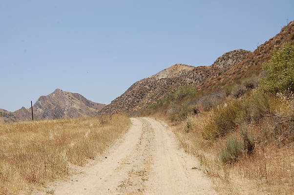 DSC 0213