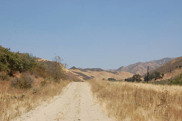 DSC 0163