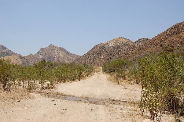 DSC 0208