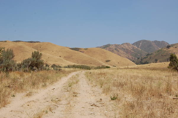 DSC 0189