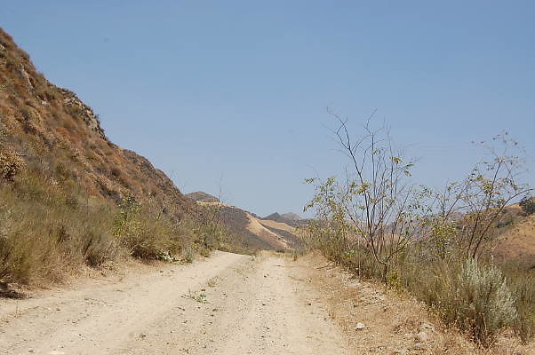 DSC 0155