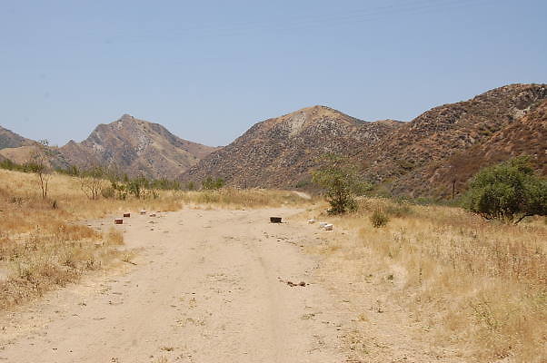 DSC 0204