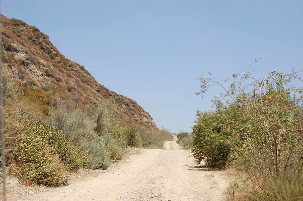 DSC 0149