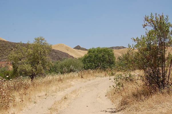DSC 0184