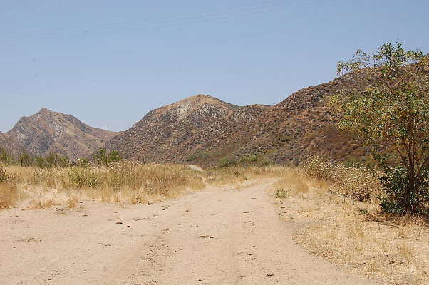 DSC 0205
