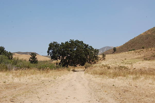 DSC 0179