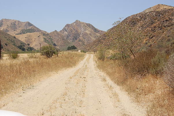 DSC 0215