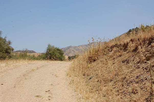 DSC 0173