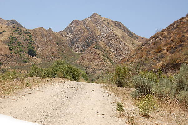 DSC 0231