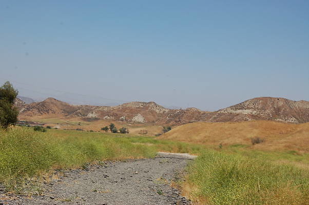 DSC 0039