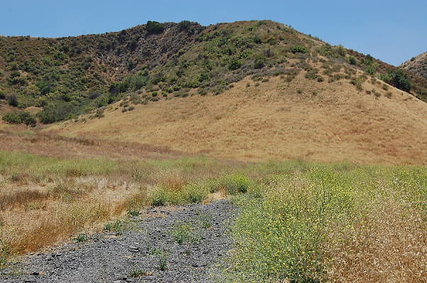 DSC 0031