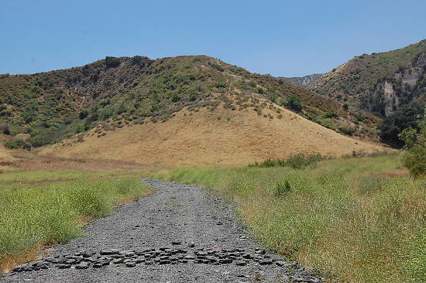 DSC 0028