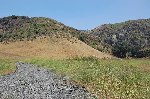 DSC 0029