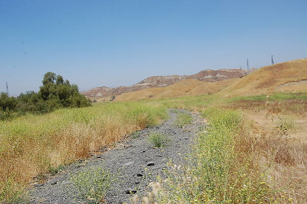 DSC 0037
