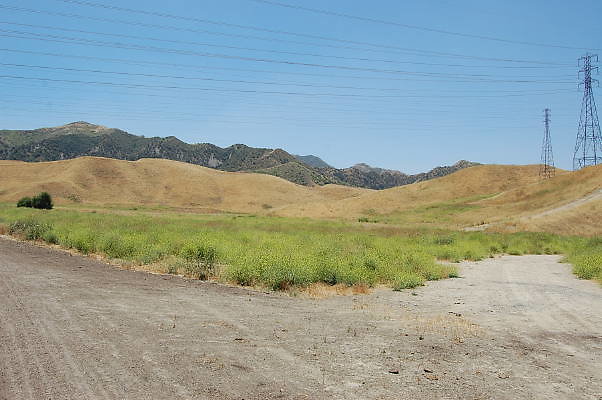 DSC 0002