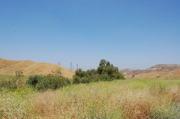 DSC 0034
