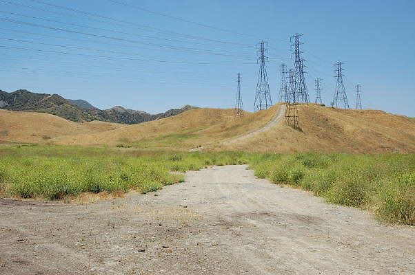 DSC 0006