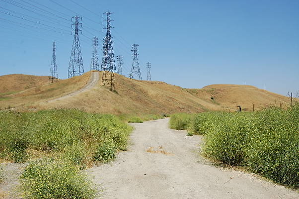 DSC 0013
