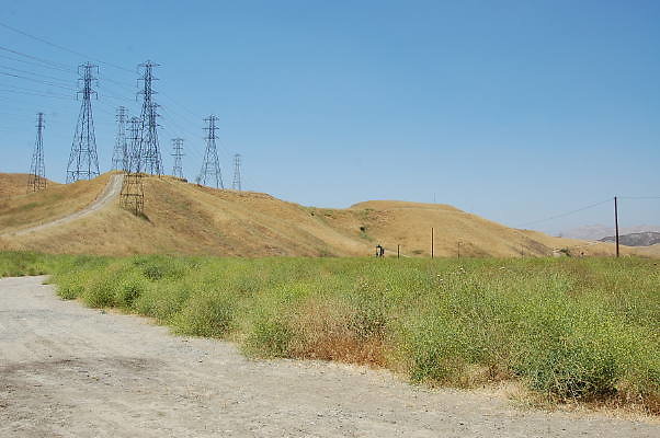 DSC 0003