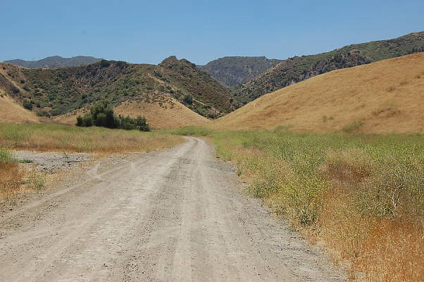 DSC 0018