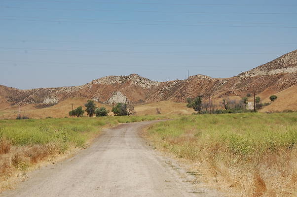 DSC 0049