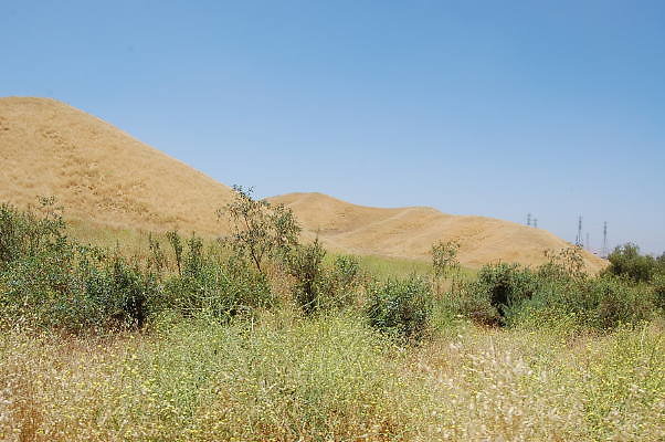 DSC 0033