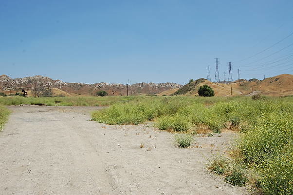 DSC 0010