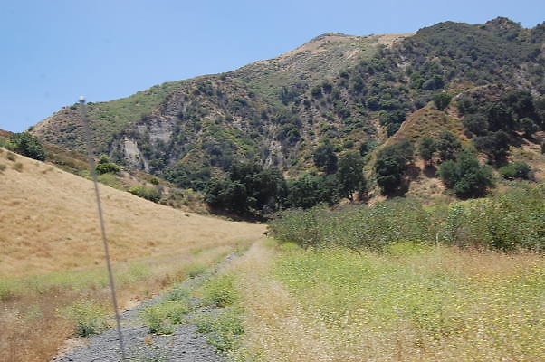 DSC 0032