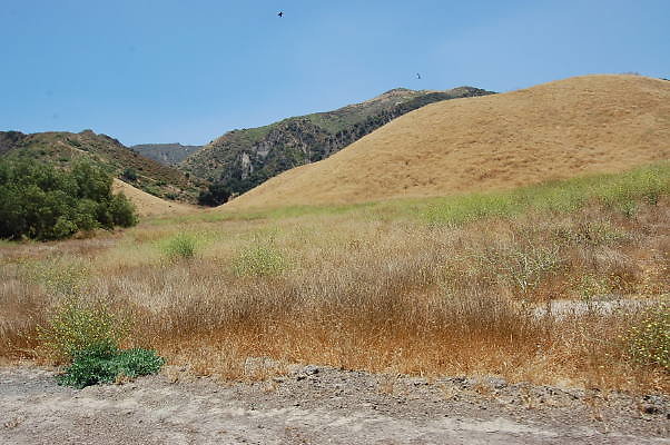DSC 0024