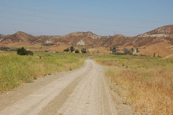 DSC 0047