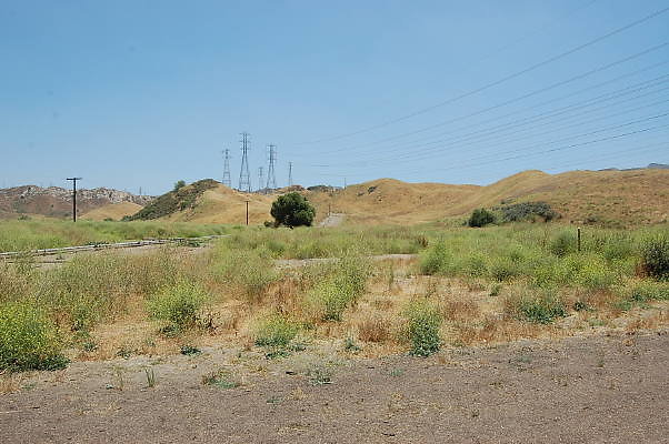 DSC 0004