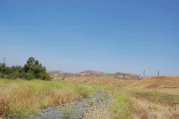 DSC 0035