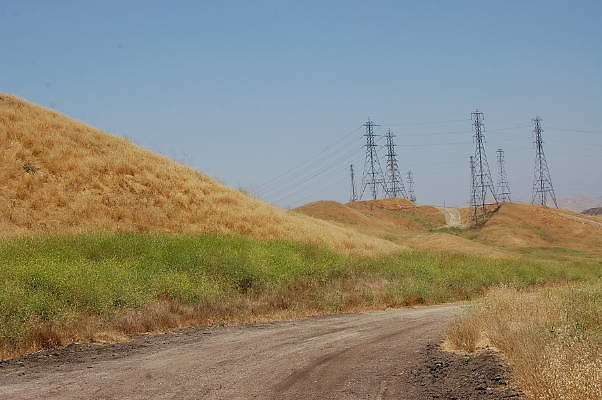 DSC 0041