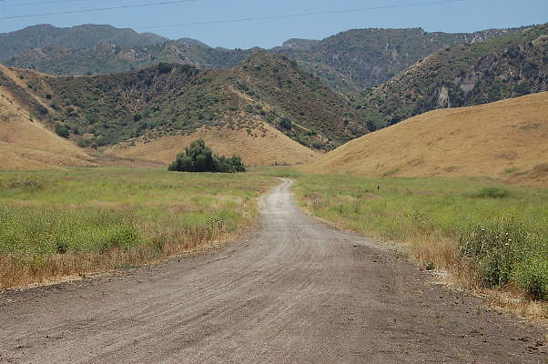 DSC 0015