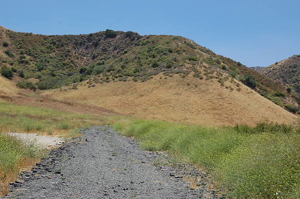 DSC 0030