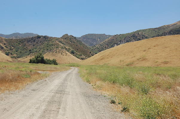 DSC 0017