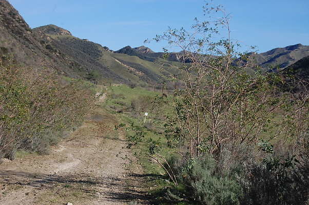 DSC 0532