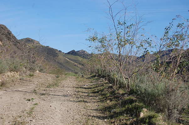 DSC 0531