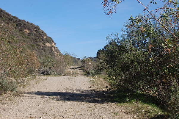 DSC 0528