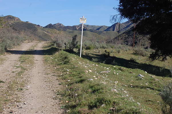 DSC 0535