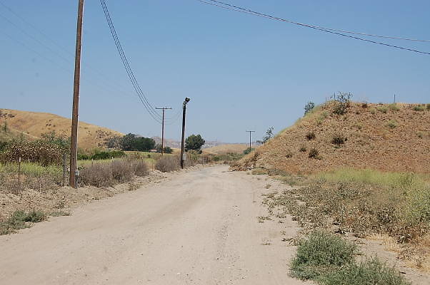 DSC 0299