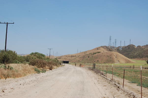 DSC 0293
