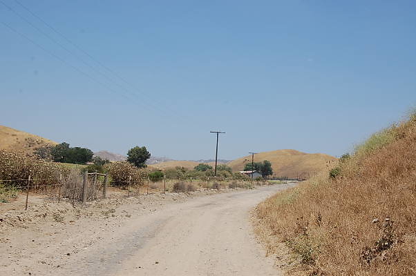 DSC 0300